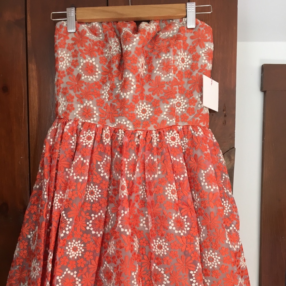 Rachel Antonoff embroidered dress